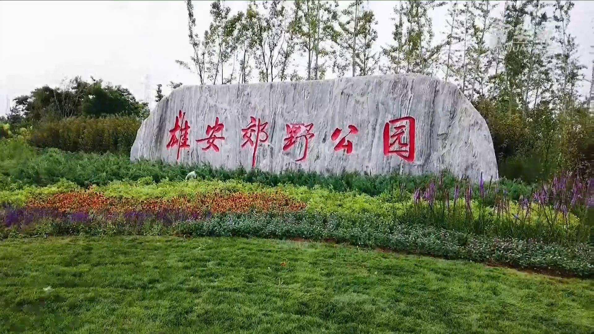 918博天堂电气雄安郊外公园建设工程及配套设施项目